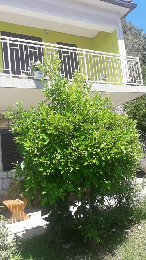 Apartment Dragone Ulcinj Exteriör bild